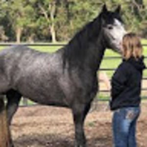 Meet your Posher, Angel